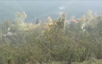 Çayan Hüseyin - Sen Bu Köyden Gideli