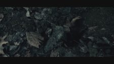 Mirac - Toplumsal Hezeyan (Official Video)
