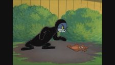Tom And Jerry 290. Bölüm (Çizgi Film)