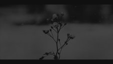 Chopin - Spring Waltz