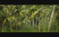 Kong Skull Island 2017 - King Kong 2 Full HD