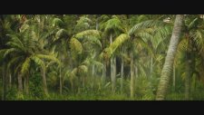 Kong Skull Island 2017 - King Kong 2 Full HD