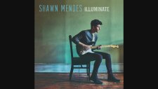 Shawn Mendes - Three Empty Words (Audio)
