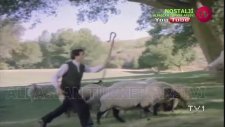Muhteşem İkili (Perfect Strangers - 1988)