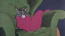 Tom And Jerry 300. Bölüm (Çizgi Film)