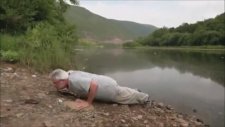 Yüzgeçten Ellere - Tiktaalik Balığı