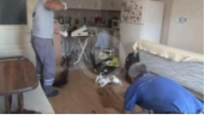 Çöp Evdeki Çekyattan Onlarca Kedi Fırladı