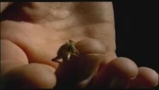 Nokia N95 Reklam Filmi