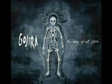 gojira - esoteric surgery