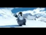 sevimli penguen kolbastı oynuyor