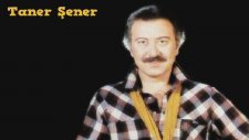 Taner Şener - Artık yeşerecek bir dalım yok