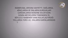 Bal Petekleri Neden Altıgendir?