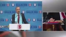 Eski Türkiye Manzaraları