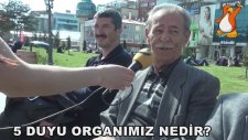 5 Duyu Organımız Nedir? - Sokak Röportajı