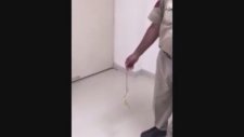 Kıçına Kokain Sokan Hint ( 18)