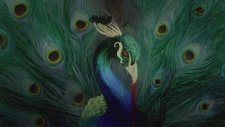 Opeth - Sorceress (Offıcıal Lyrıc Vıdeo)
