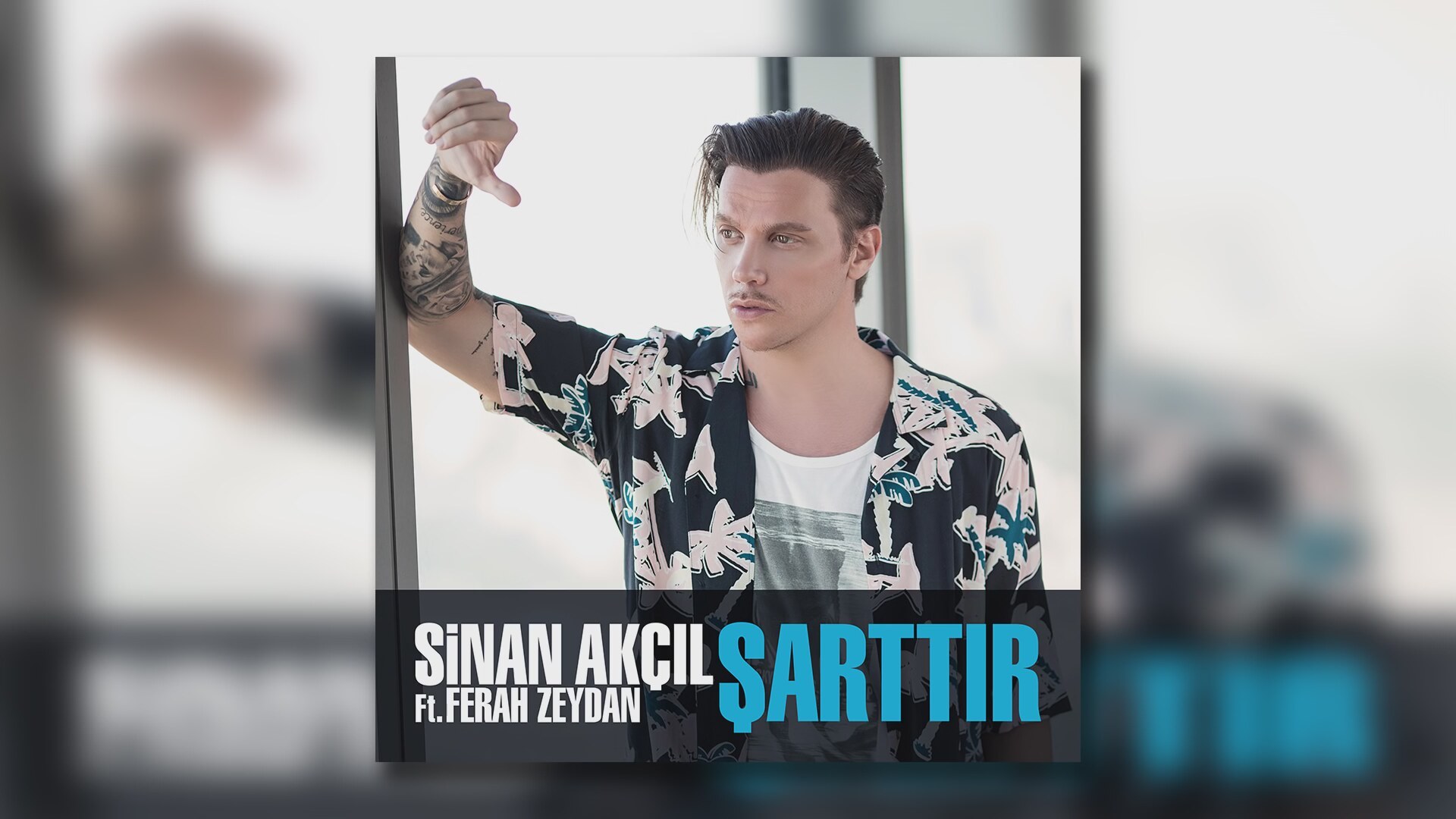 Mustafa Ceceli Sinan Akçıl Anlarsın Şarkı Sözü Mustafa Ceceli Sinan Akçıl Anlarsın Şarkı Sözü