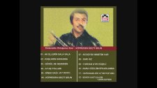Neşet Ertaş - Köprüden Geçti Gelin