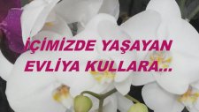 İçimizde Yaşayan Evliya Kullara...