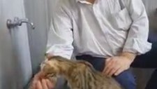 Susayan Kediye Şadırvanda Su İçiren Amca