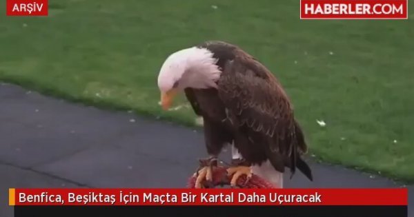 Benfica Besiktas Icin Macta Bir Kartal Daha Ucuracak Izlesene Com