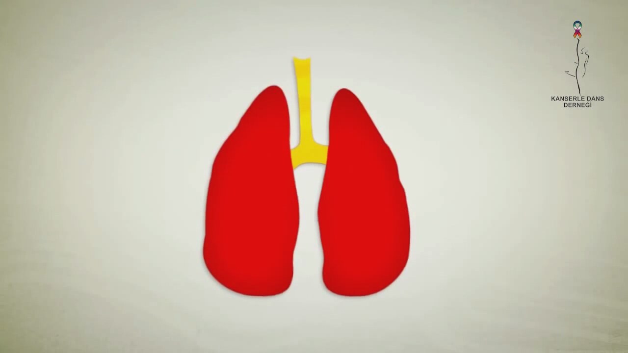 Sigarayı Bıraktıktan Sonra Sigarayı Bıraktıktan Sonra