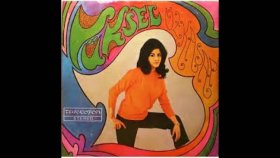 Yüksel Özkasap - Su Ver Leylam Yanıyorum - Nostalji Müzik Yüksel Özkasap - Su Ver Leylam Yanıyorum - Nostalji Müzik
