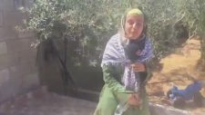 Filistinli Ranin'in Rap Şarkısı