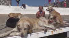 Bodrum'un Golden Çetesi