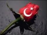 adnan tayfun-geceler,damara devam,meseleci06
