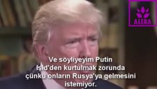 Trump'ın Ortadoğu Üzerine Mantıklı Görüşleri