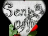 Ayşegül Ve Şahin