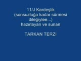 Aytim 11j