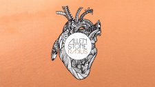 Allen Stone - American Privilege