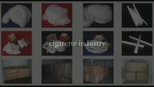 Cellulose Acetate Tow