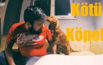 Kötü Bir Köpek ile İki Gün