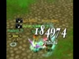 184k Crit 79 Lv Rogue