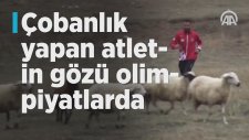 Çobanlık Yapan Milli Atlet