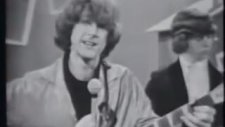 Mr. Tambourine Man - The Byrds