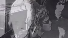 Venus In Furs - The Velvet Underground