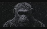 War for the Planet of the Apes - Viral