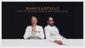 Banks - Steelz - Point Of View Banks - Steelz - Point Of View