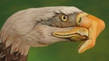Eagles - Take It To The Limit