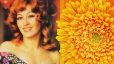 Nermin Candan - Olmaz Olmaz Bu İş Olamaz