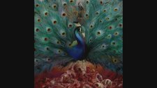 Opeth - Spring Mcmlxxıv - Yabancı Müzik