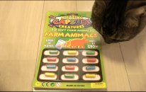 Amazing Capsule Creatures