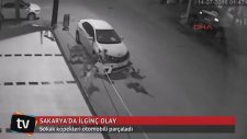 Sakaryada Arabayı Parçalayan Sokak Köpekleri