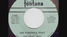 Honey Bees - One Wonderful Night