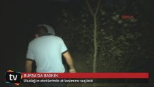 Uludağ'ın Eteklerinde At Kesimine Suçüstü