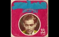 Muhlis Akarsu - Sen Altınsın Ben Tunçmuyum Plak Çekim - Nostalji Müzik
